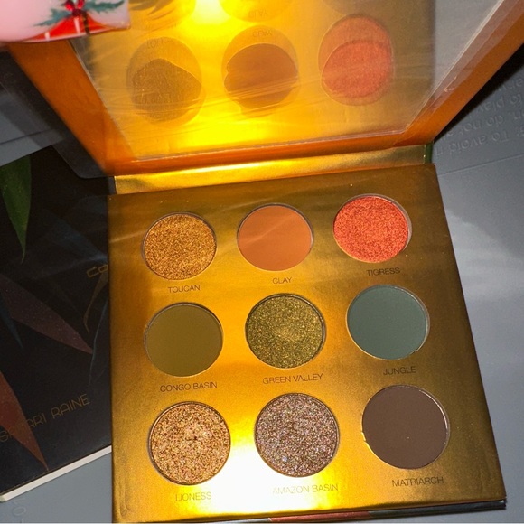 Coloured Raine Palette - Picture 2 of 2